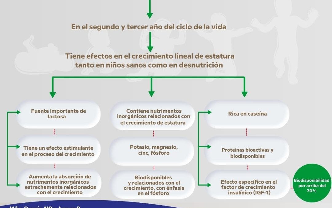 La leche: un alimento muy completo