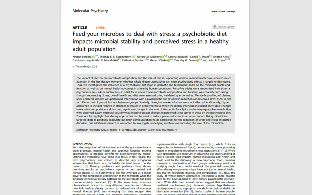 La conexión microbiota-intestino-cerebro: cómo sucede y el papel de la dieta para mejorarla